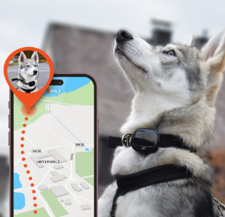 Pet Tracking